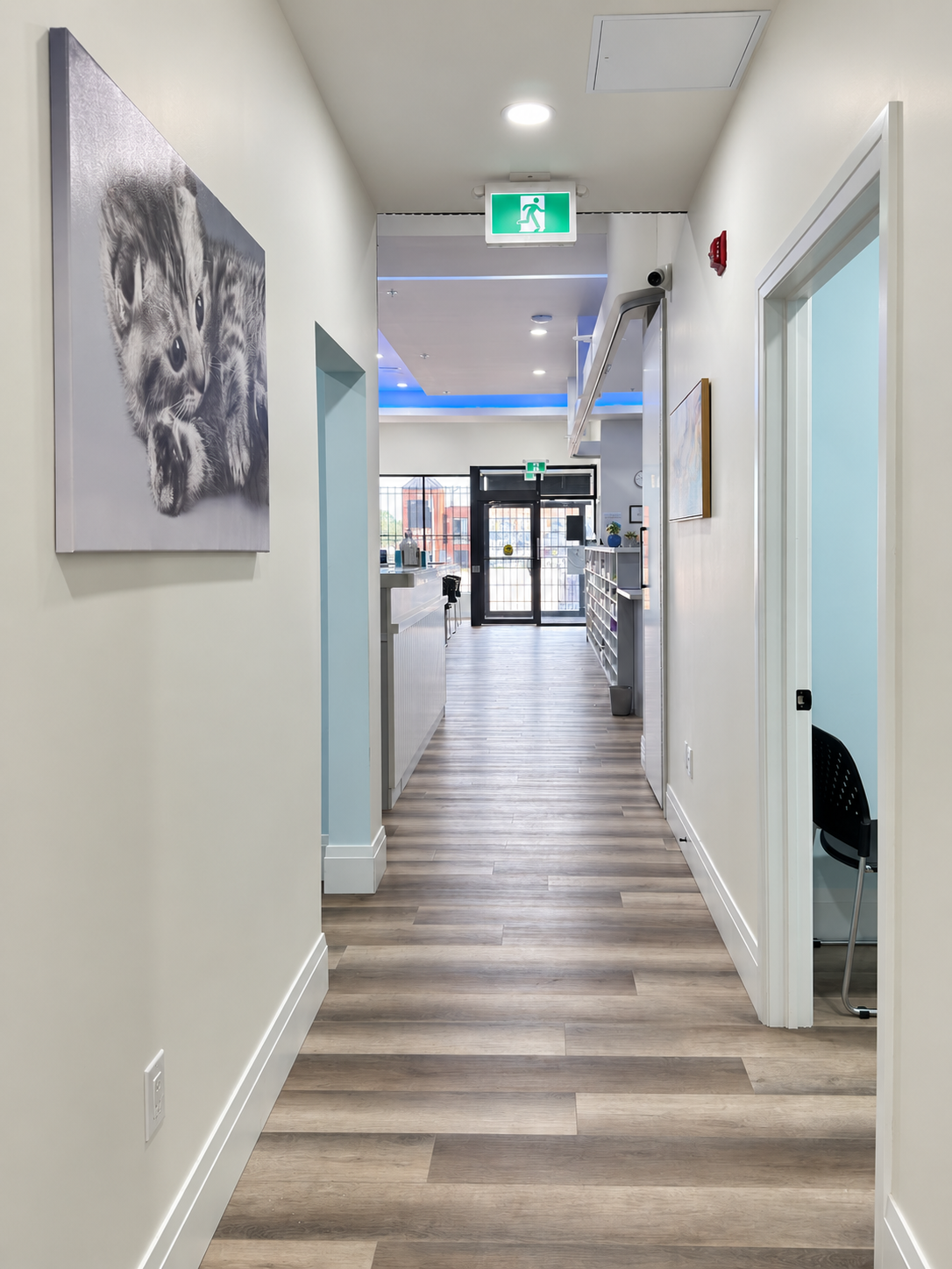 Your Family Medical Clinic interior detail